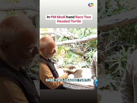 In PM Modi hand Rare Two Headed Turtle at Vantara. #reliancefoundation #Vantara