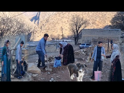 Building a safe shelter for dogs in the harsh mountain winter for a nomadic dog