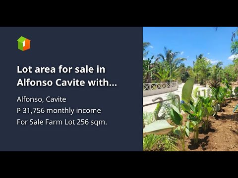 Lot area for sale in Alfonso Cavite with fruit bearing trees Tagaytay Climate