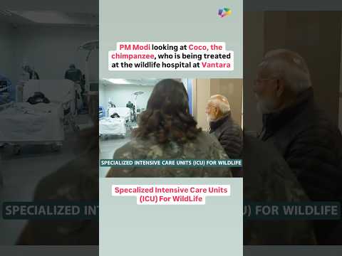 Specalized Intensive Care Units (ICU) For WildLife. PM Modi looking at Coco, the chimpanzee.