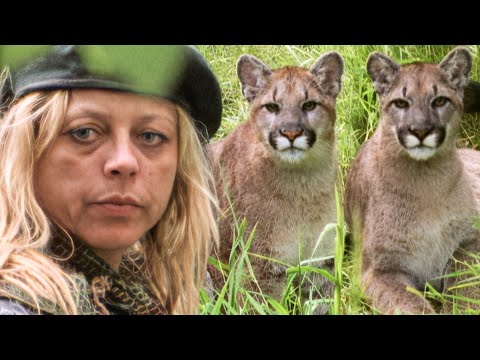 Wildlife Wranglers: Making Cougar Crossings | E13 | Full Episode