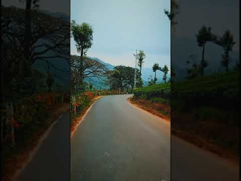 Munnar Diaries || Travel status || Whatsapp status video 🥰