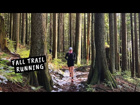 Fall Training Update, My Fall Running Gear