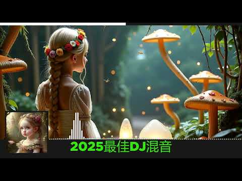 2025最佳DJ混音 |2025 年最劲爆的DJ歌曲 |酒吧最火DJ舞曲  |中文DJ版劲爆舞曲