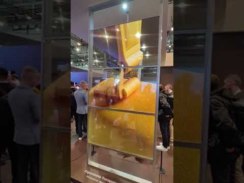 TRANSPARENT OLED SCREEN