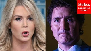 Karoline Leavitt Issues Direct Warning To Canada's Justin Trudeau Over His 'Outlandish Comments'