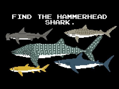 Find the Animals 2 - Sharks, Whales, Primates & More - The Kids' Picture Show (Learning Video)