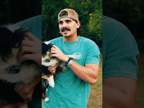 Dogs love me, I swear #countrysinger #newmusic #dogs