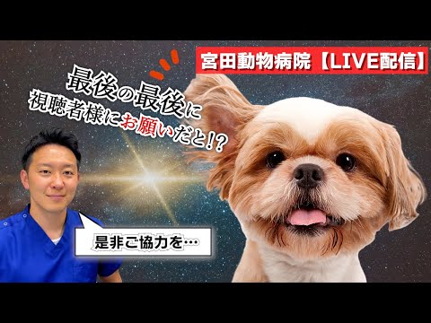 宮田動物病院 ライブ配信【MAHチャンネル】