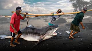 Inside Asia’s Shark Hub of Horror (Trigger Warning)