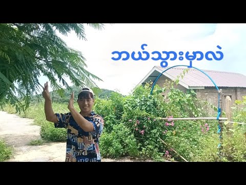 ဘယ်သွားမှာလဲ