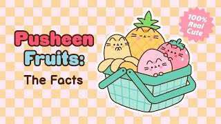 Pusheen Fruits: The Facts