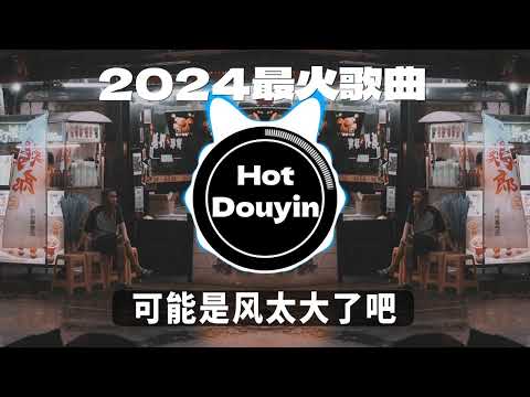 全中文DJ舞曲夜店混音舞曲串烧 2024🎧中文舞曲中国最好的歌曲 舞曲串烧🎶 可能是风太大了吧 (DJHZ版)/ 若月亮没来 (DJ铁柱版)/ 冬眠 - 司南👍Douyin Dj抖音版2024