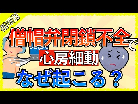 イラストで学ぶ医学！「僧帽弁閉鎖不全で心房細動になる理由とは」僧帽弁閉鎖不全の原因/症状/病態