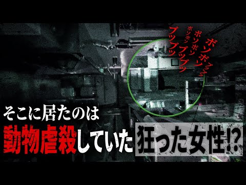 『行方不明の女性に遭遇』※閲覧注意※