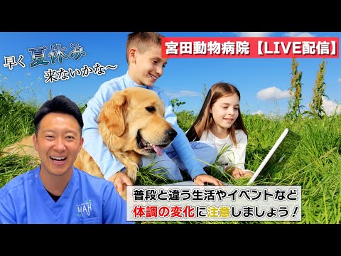 宮田動物病院 ライブ配信【MAHチャンネル】