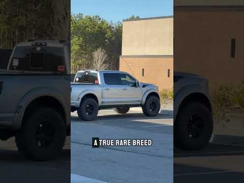 38s on the Ford Raptor INDO Out in the WILD…