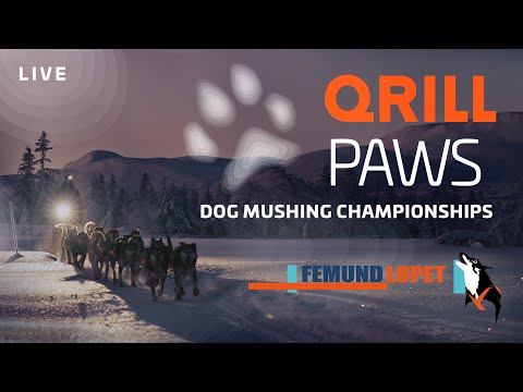 FEMUND RACE QRILL PAWS LIVE 2022