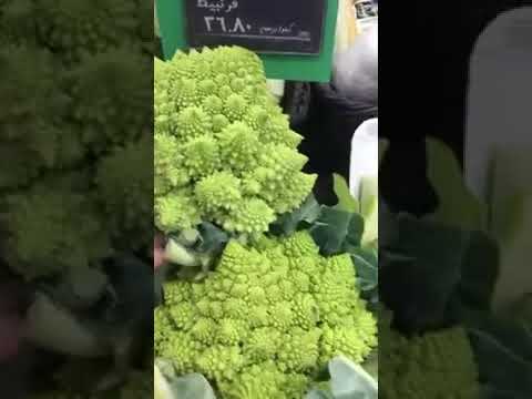 Odd broccoli 🥦#broccoli#shortsfeed#shorts#short#shortsviral#shortfeedviral#shortfeed#viralshorts