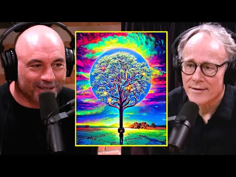 Joe Rogan & Graham Hancock: The Beauty Of Human Experience