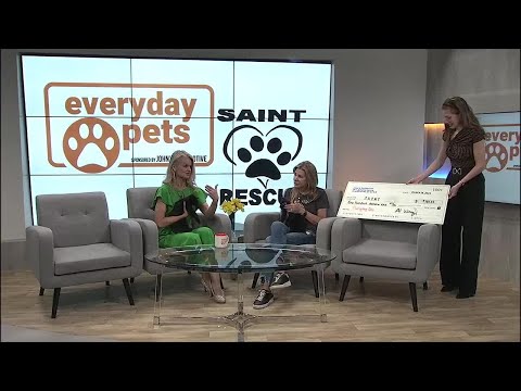 Everyday Iowa - Everyday Pets with SAINT Rescue