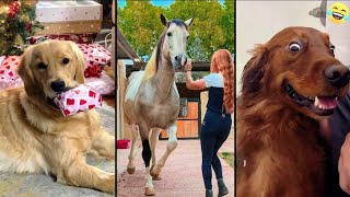 Funny ANIMALS videos 😂 Funniest CATS 😺 DOGS 🐶  HORSES 🐴 2024