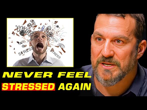 "How To Get Rid of Stress Using Science!" – You won't believe until you try | Andrew Huberman: