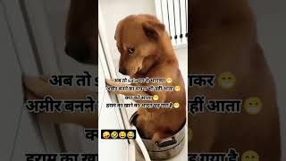 #funny 😂#comedyvideos 😀#viralvideo 🤣#funnyshorts 🤪#comedy 😂#subscribe ❤️#doglover😀 #explore #shorts🤣