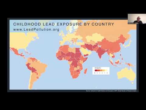 Research Grants to Build Evidence on Global Lead Poisoning: Researcher-Implementor Matchmaking