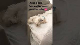 deixa o like se vc ama sua mãe e deus