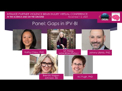 IPV-BI Conference 2023: Panel Discussion Identifying “Gaps in IPV-BI”