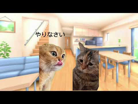 勉強やれ#猫ミーム素材集