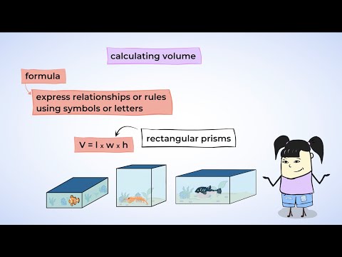 Calculating volume: the fish are alright | MightyOwl Math | 5th Grade