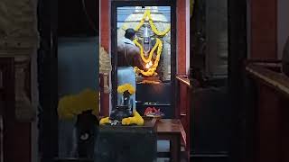 Daily Harathi #shanidev #shani_shadhe_sati #shanidevkimahima #harathi #shani