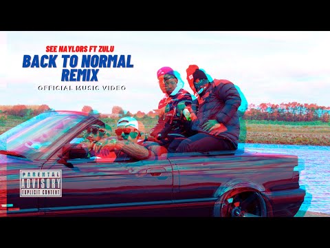 See Naylors ft Zulu - Back To Normal Remix (Official Music Video)