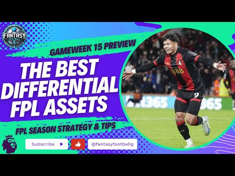 FPL GW15 Transfer Targets | The Best FPL Differentials | Fantasy Premier League Tips 2024/25