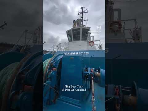 Tug Boat Tour | Port Of Auckland ⛴️