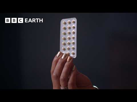 How Does The Contraceptive Pill Affect Your Body? | BBC Earth Science