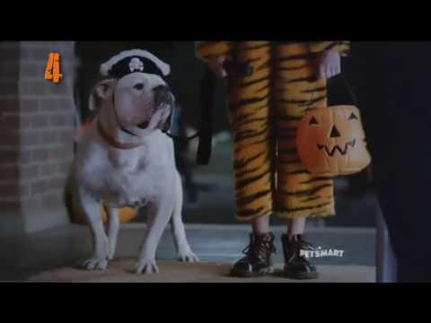 Funny Ads Compilation   Top 10 Funniest Halloween Commercial 2016