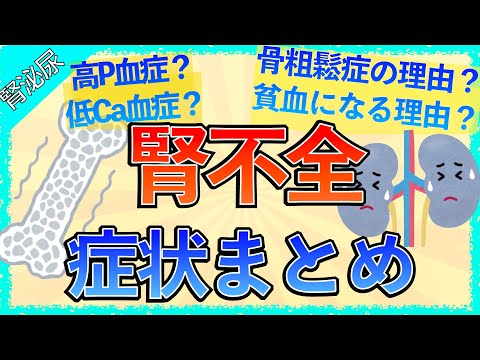 イラストで学ぶ医学！「腎不全の症状まとめ」高P/低Ca/高K/骨粗鬆症/貧血になる理由とは