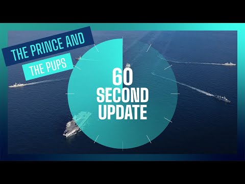 The Prince and The Pups | Episode 172 | Royal Navy