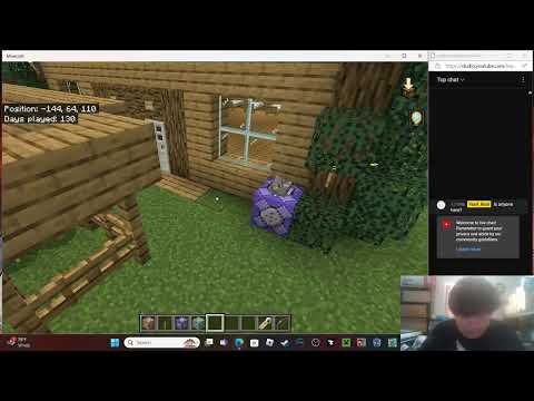 Playing minecraft with a fan! (my first fan at that)