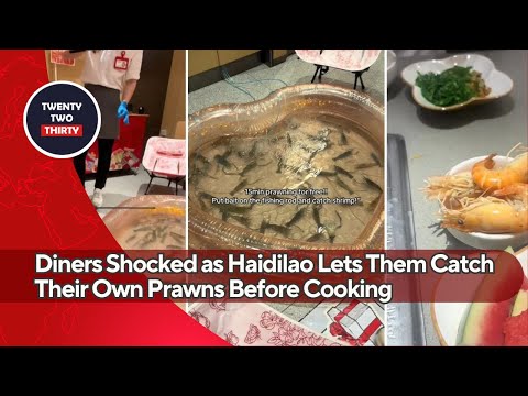 Diners Shocked as Haidilao Lets Them Catch Their Own Prawns Before Cooking—Here's What Happened