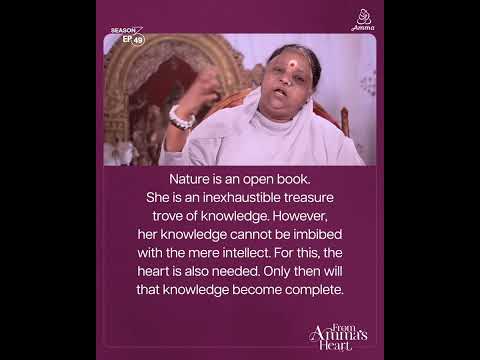 Recognizing our shortcomings - From Amma's Heart S3 E49