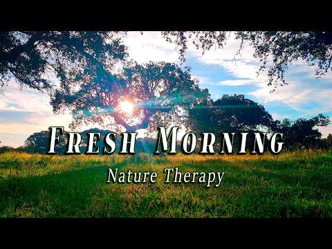 ☀️ Healing Frequency Fresh Morning 🌳☀️ NATURE THERAPY Morning Meditation to start your Day Positive