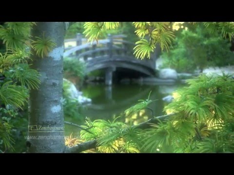 Zen Garden Tranquility- Ultimate Relaxation - Transcendental Bliss