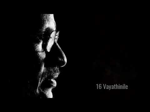 16 Vayathinile BGM | Maestro Ilaiyaraaja