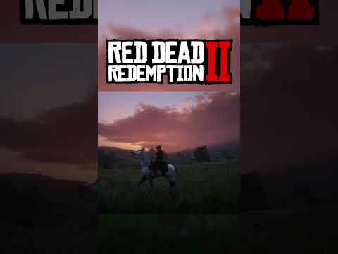 Dont ask how long it took to make - Red Dead Redemption 2