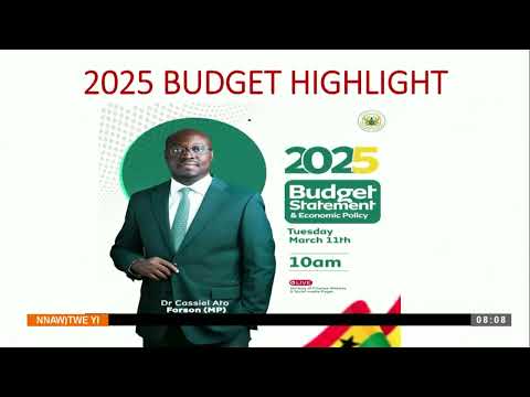 Critical Analysis of Ato Forson's First Budget, Tax Reliefs - Nnawotwe Yi on Adom TV (15-03-25)