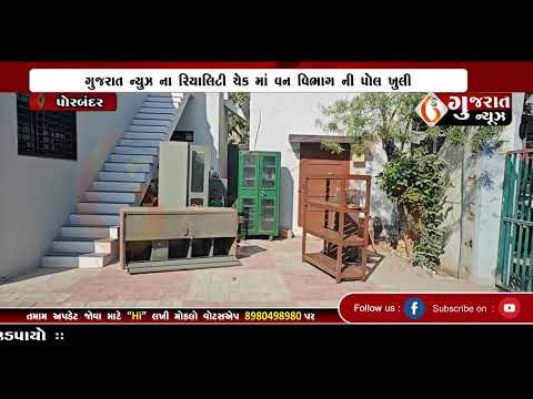 GUJARAT NEWS PORBANDAR 04 01 2025